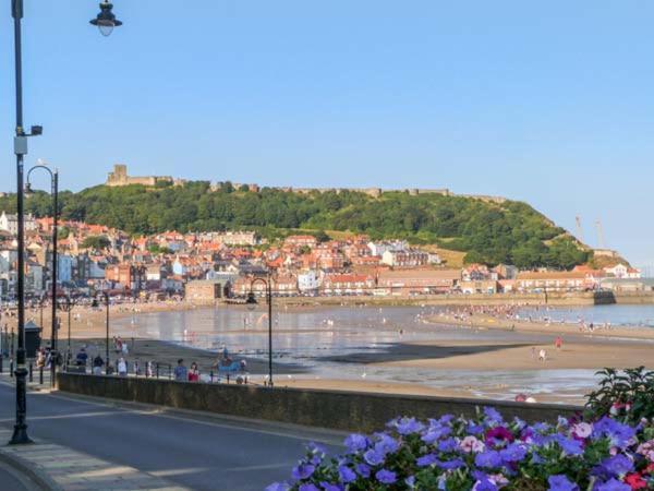 Picadore Scarborough Extérieur photo